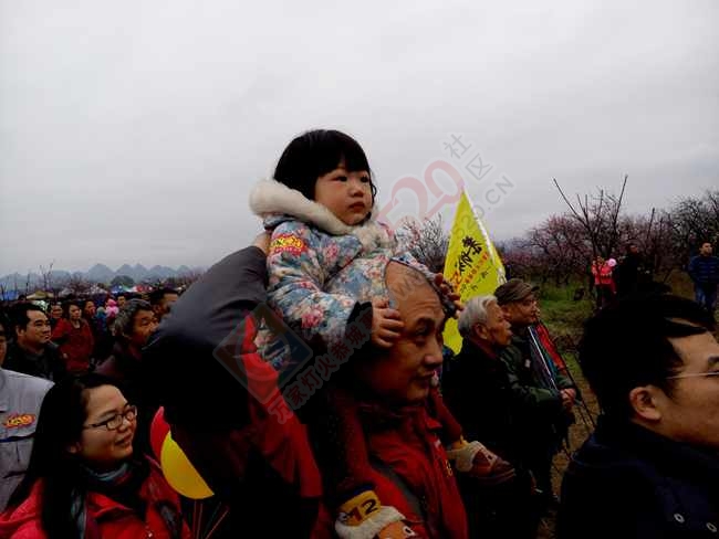 恭城520社区赏桃花嘉会太平一日游图片集合帖623 / 作者:结局、丆過如此 / 帖子ID:112588