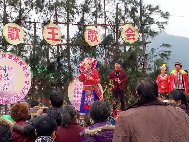 恭城520社区赏桃花嘉会太平一日游图片集合帖699 / 作者:结局、丆過如此 / 帖子ID:112588