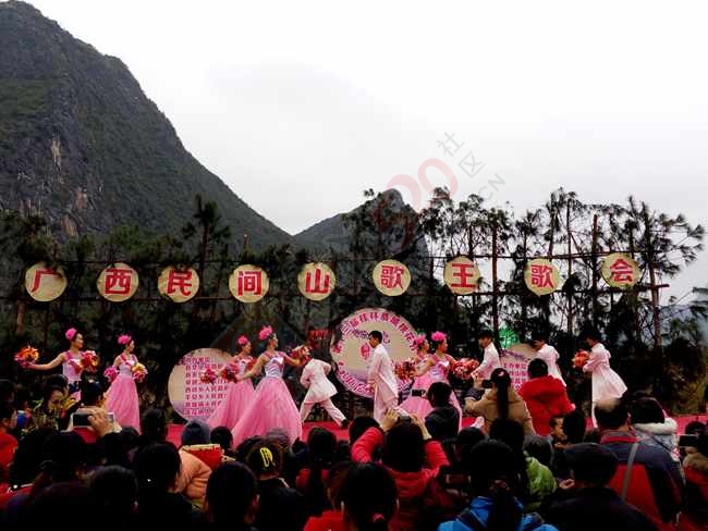 恭城520社区赏桃花嘉会太平一日游图片集合帖504 / 作者:结局、丆過如此 / 帖子ID:112588