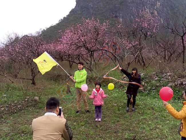 恭城520社区赏桃花嘉会太平一日游图片集合帖5 / 作者:结局、丆過如此 / 帖子ID:112588