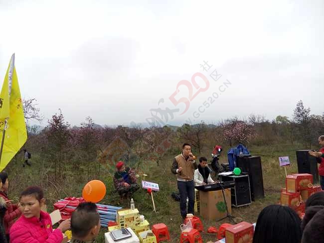 恭城520社区赏桃花嘉会太平一日游图片集合帖500 / 作者:结局、丆過如此 / 帖子ID:112588