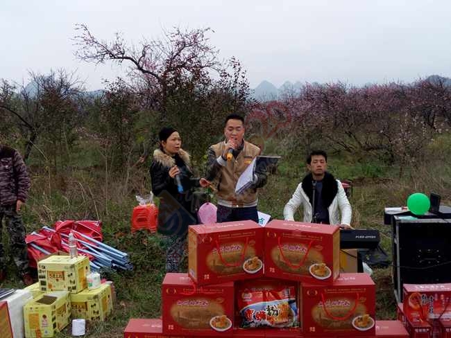 恭城520社区赏桃花嘉会太平一日游图片集合帖270 / 作者:结局、丆過如此 / 帖子ID:112588