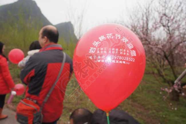 恭城520社区赏桃花嘉会太平一日游图片集合帖261 / 作者:结局、丆過如此 / 帖子ID:112588