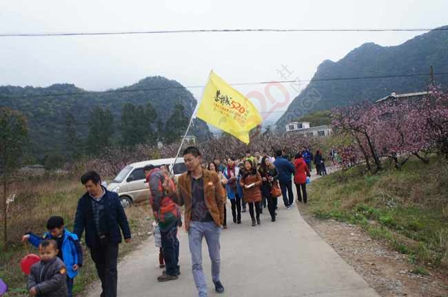 恭城520社区赏桃花嘉会太平一日游图片集合帖156 / 作者:结局、丆過如此 / 帖子ID:112588