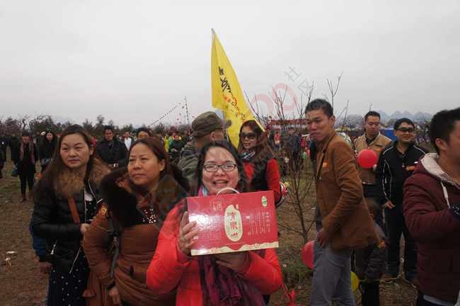 恭城520社区赏桃花嘉会太平一日游图片集合帖723 / 作者:结局、丆過如此 / 帖子ID:112588
