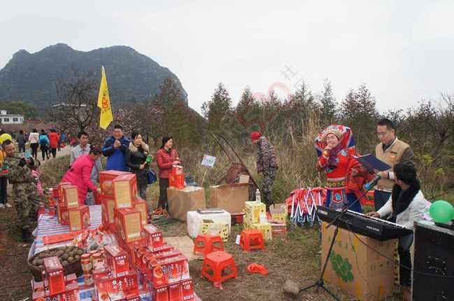 恭城520社区赏桃花嘉会太平一日游图片集合帖399 / 作者:结局、丆過如此 / 帖子ID:112588