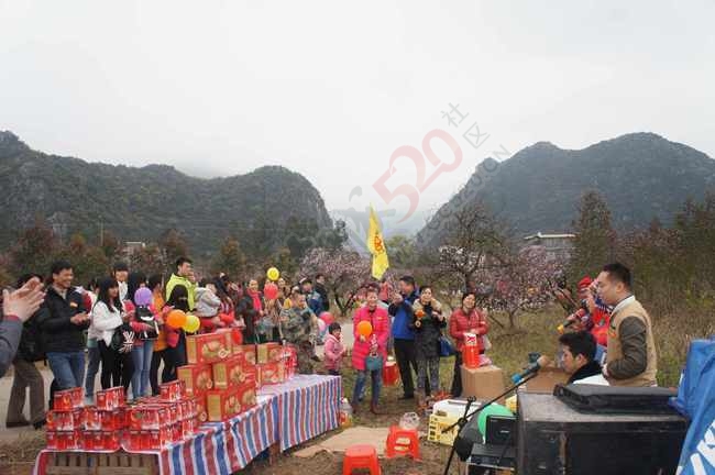 恭城520社区赏桃花嘉会太平一日游图片集合帖489 / 作者:结局、丆過如此 / 帖子ID:112588