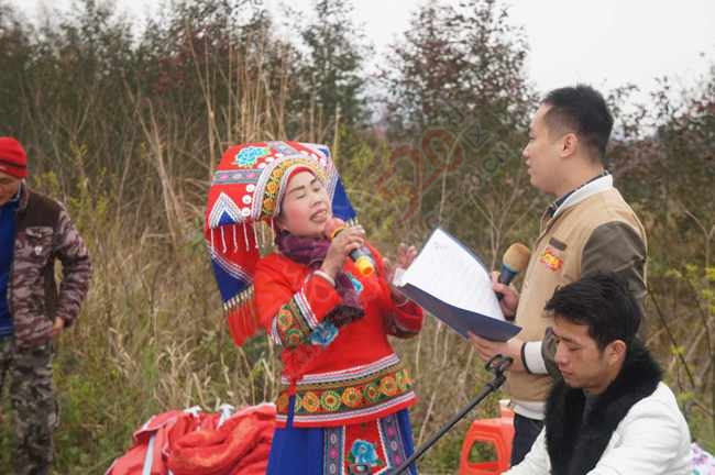 恭城520社区赏桃花嘉会太平一日游图片集合帖129 / 作者:结局、丆過如此 / 帖子ID:112588