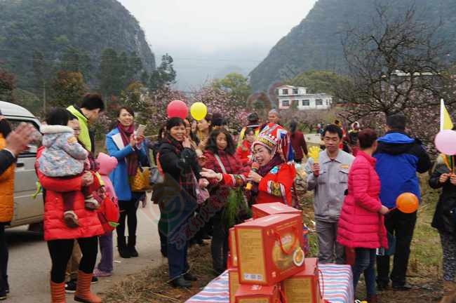 恭城520社区赏桃花嘉会太平一日游图片集合帖65 / 作者:结局、丆過如此 / 帖子ID:112588