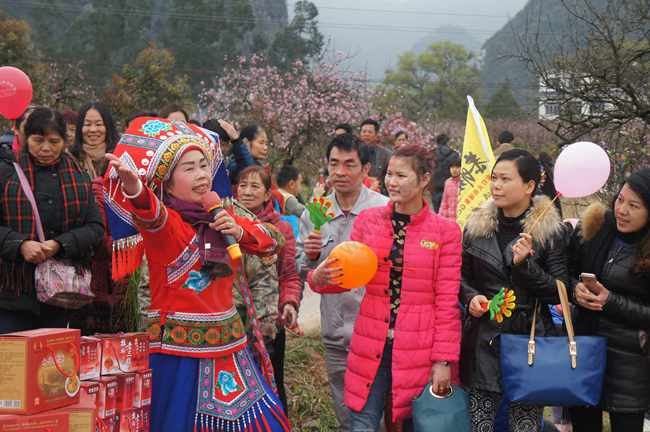 恭城520社区赏桃花嘉会太平一日游图片集合帖609 / 作者:结局、丆過如此 / 帖子ID:112588