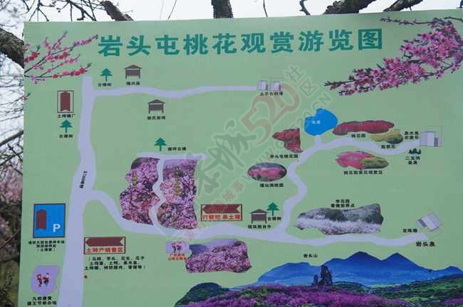 恭城520社区赏桃花嘉会太平一日游图片集合帖550 / 作者:结局、丆過如此 / 帖子ID:112588