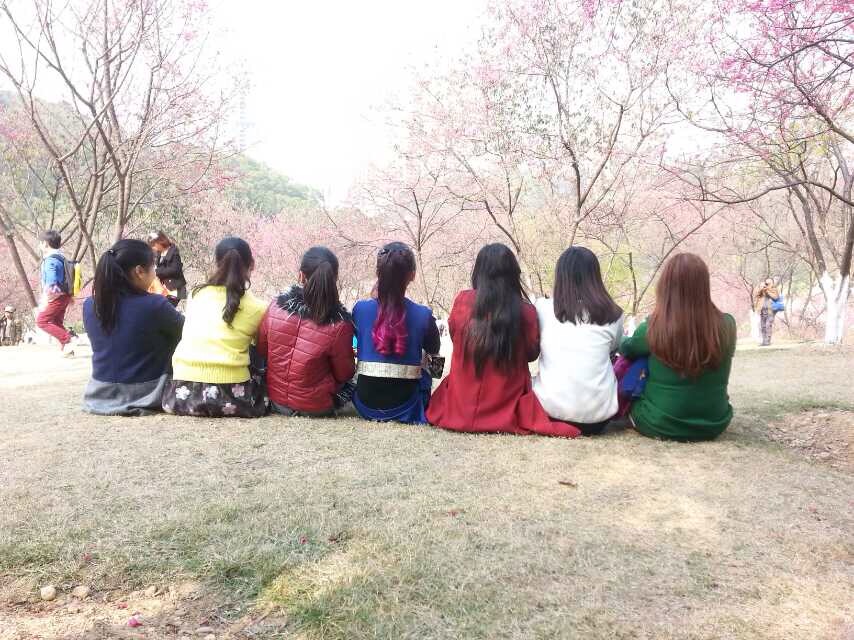 樱花美不美661 / 作者:恭城520小奈姐姐 / 帖子ID:112685