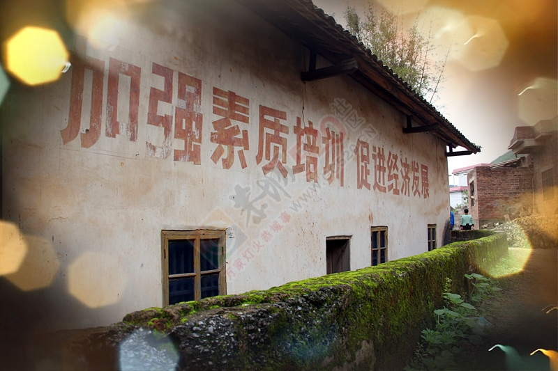 春季小“蛇”影455 / 作者:柚子壳※ / 帖子ID:114895