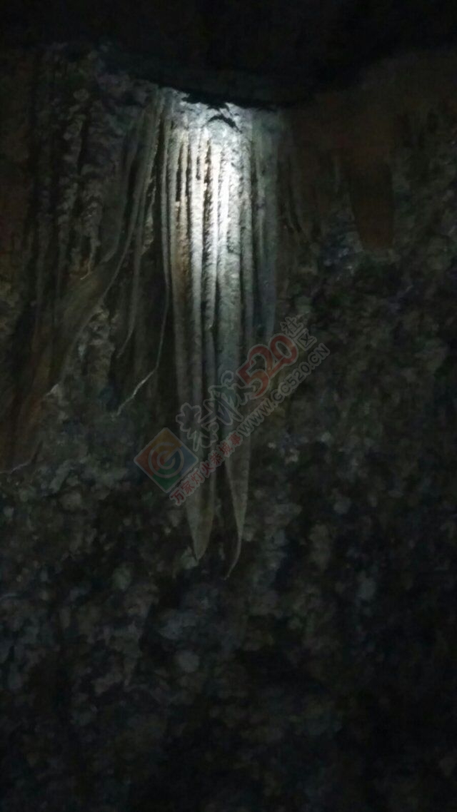 其实去哪里无所谓，主要身边陪伴你的是谁，55公里全程973 / 作者:曾木兜 / 帖子ID:115244
