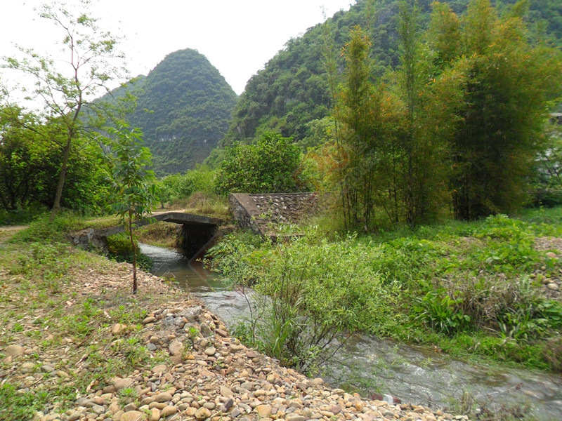这里非常凉快199 / 作者:建筑19551213 / 帖子ID:115961