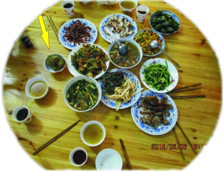 如果天天有囊子一餐你愿意吗 MDG896 / 作者:小绿 / 帖子ID:117167