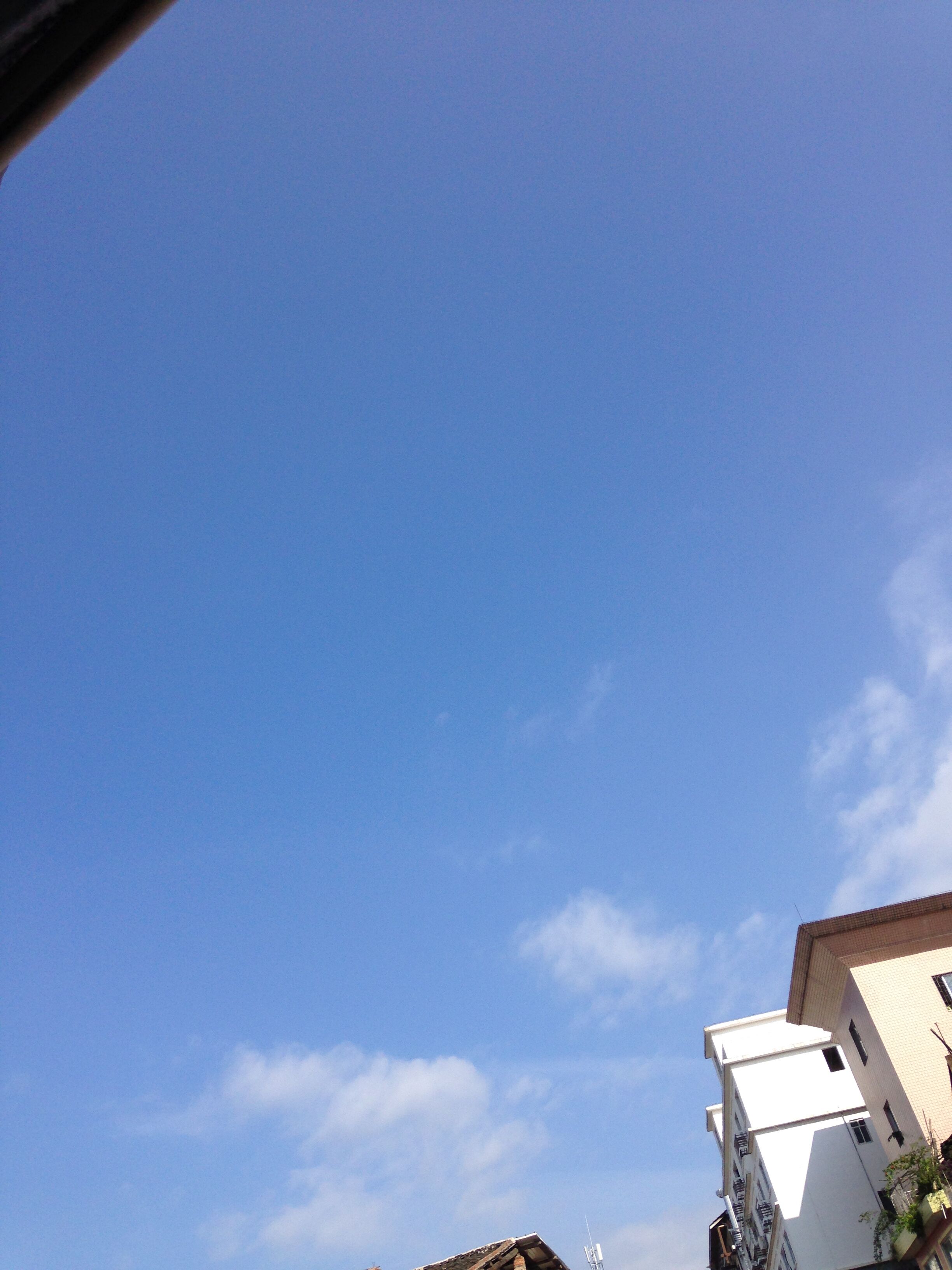 今天是万里晴空的好日子231 / 作者:恭城520小奈姐姐 / 帖子ID:117876