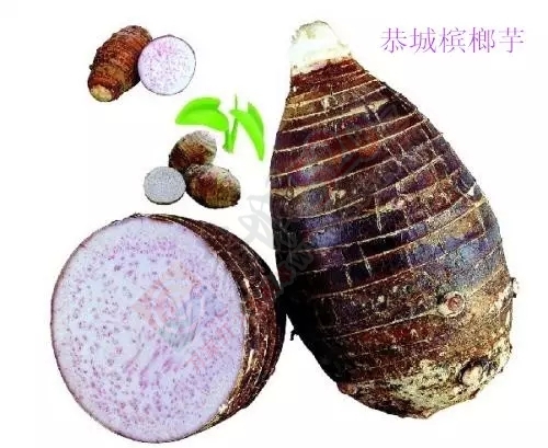 『板路』恭城是个什么地方？这是标准答案！553 / 作者:古建灵韵 / 帖子ID:118430