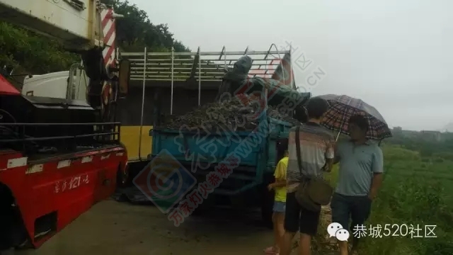 莲花东科：小麻雀重汽侧翻压时风，时风司机跳车逃生186 / 作者:欧耶 / 帖子ID:118623