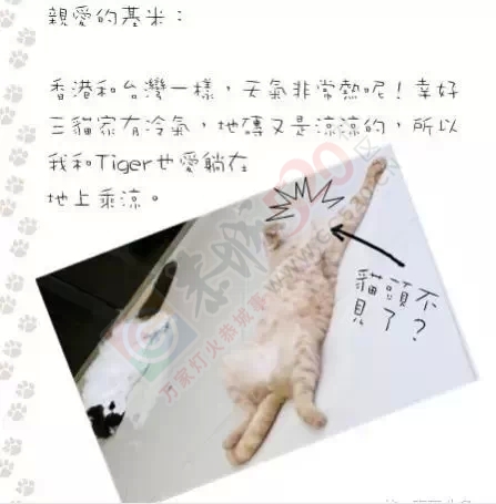 1000元月薪如何在大恭城潇洒的活下去？看这里！953 / 作者:红通通 / 帖子ID:118688