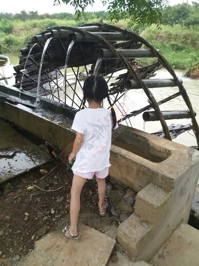 西岭费村20亩巨峰葡萄欢迎广大老板前去订购,15677068193费兴科150 / 作者:可可553697052ll / 帖子ID:119476