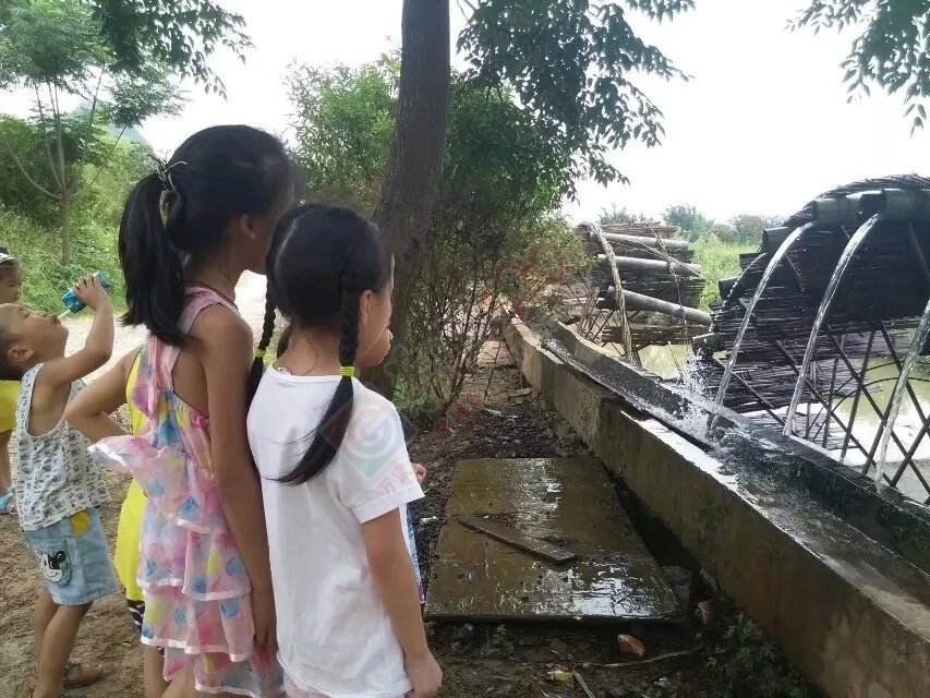 西岭费村20亩巨峰葡萄欢迎广大老板前去订购,15677068193费兴科324 / 作者:可可553697052ll / 帖子ID:119476