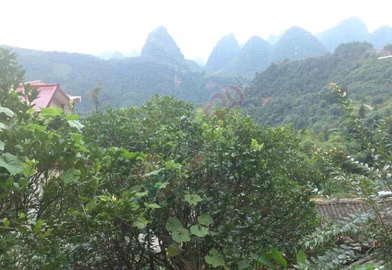 看看别人瑶山人的一天，好潇洒620 / 作者:奇葩处处有 / 帖子ID:119783