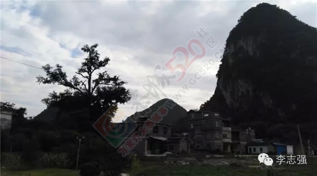 恭城惊现闯王李自成直系后裔隐居地--太平村，李自成创建天地会起源恭城并非空穴来潮89 / 作者:火星娃崽 / 帖子ID:120242
