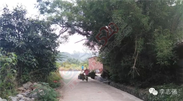 恭城惊现闯王李自成直系后裔隐居地--太平村，李自成创建天地会起源恭城并非空穴来潮518 / 作者:火星娃崽 / 帖子ID:120242
