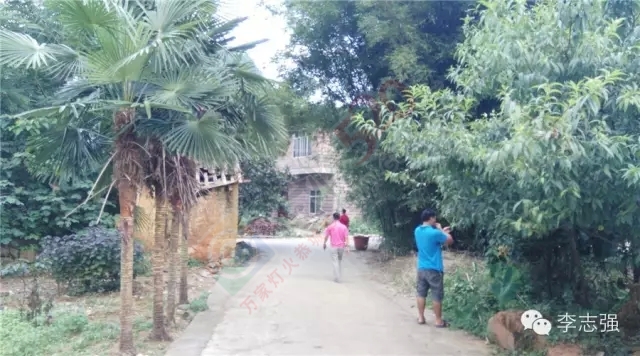 恭城惊现闯王李自成直系后裔隐居地--太平村，李自成创建天地会起源恭城并非空穴来潮905 / 作者:火星娃崽 / 帖子ID:120242
