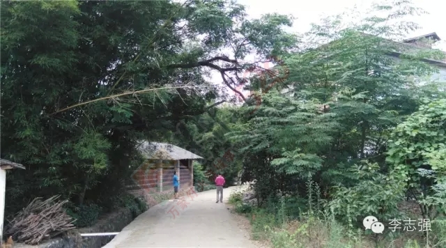 恭城惊现闯王李自成直系后裔隐居地--太平村，李自成创建天地会起源恭城并非空穴来潮230 / 作者:火星娃崽 / 帖子ID:120242