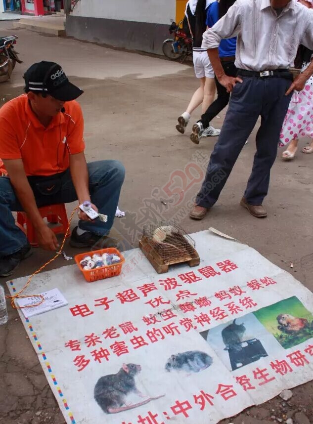 莫让骗子认为恭城人好骗：别上这种“驱鼠器”的当524 / 作者:额外听歌 / 帖子ID:120266