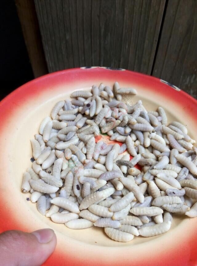这个好吃点971 / 作者:龙虎街娃崽 / 帖子ID:120482