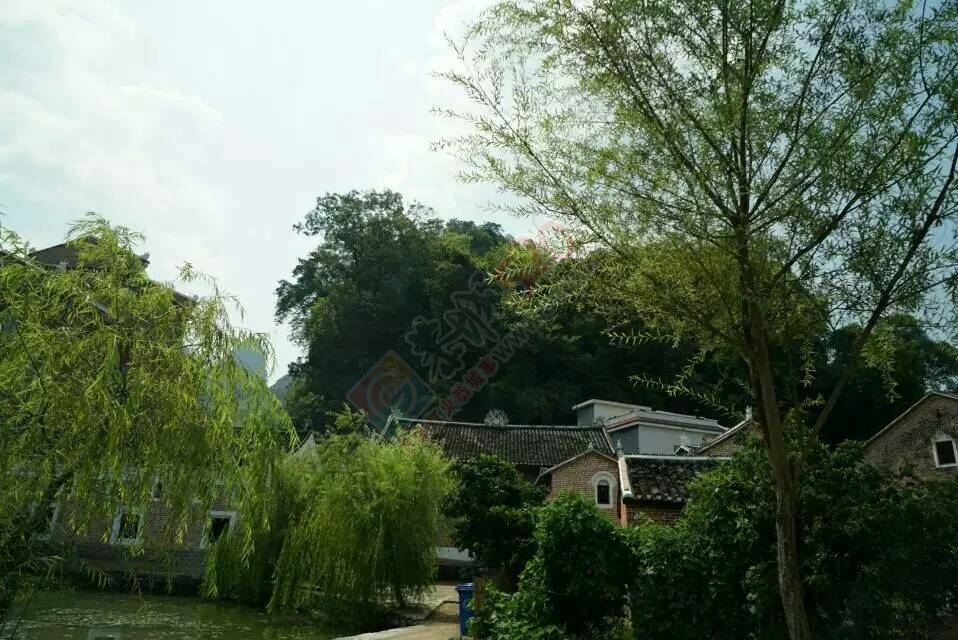 恭城人居环境示范村---莲花门等矮寨屯285 / 作者:箩筐索 / 帖子ID:120503