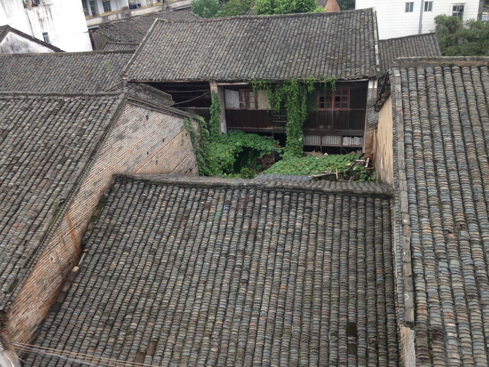 发现一处有点类似古建的老房子89 / 作者:恭城520小奈姐姐 / 帖子ID:120838