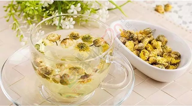 菊花水下火，但这五类人不能喝菊花茶！317 / 作者:欧耶 / 帖子ID:120840