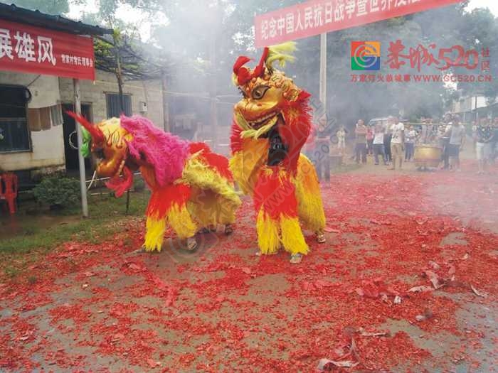 恭城双胞胎兄弟参加阅兵，乡亲舞狮鸣炮齐聚欢庆420 / 作者:结局、丆過如此 / 帖子ID:120933