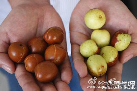 青枣很鲜甜？小心买到“糖精枣”就连枣子都有黑幕了！530 / 作者:恭城520小奈姐姐 / 帖子ID:121030