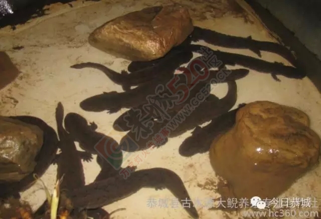 郑斌彬让山溪为群众“冲”出致富路572 / 作者:社区小编 / 帖子ID:121043