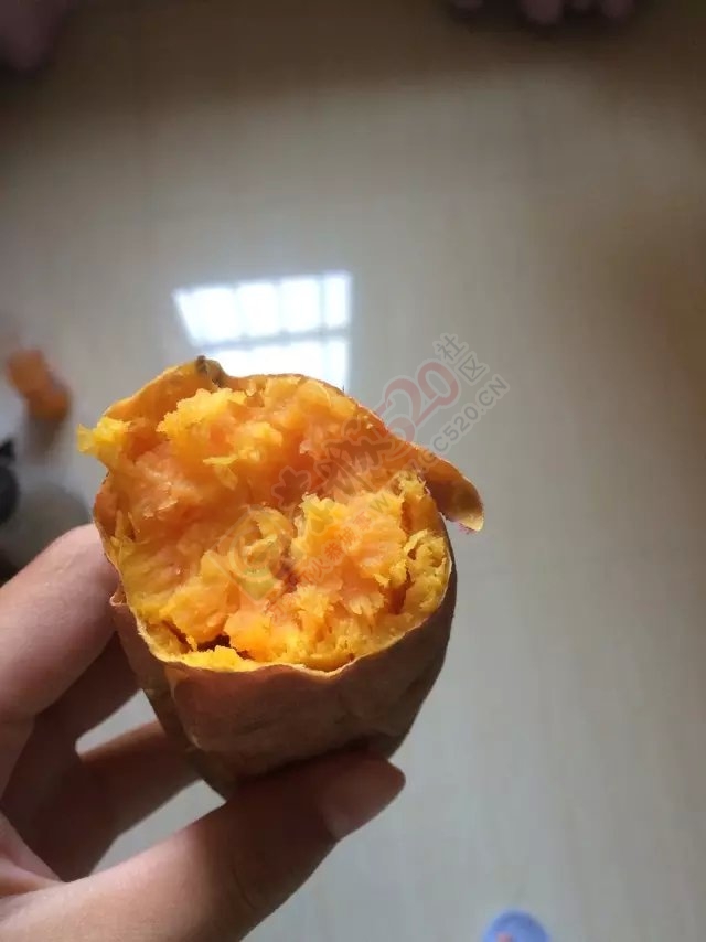 好久没吃烤红薯592 / 作者:桂花糕 / 帖子ID:121160