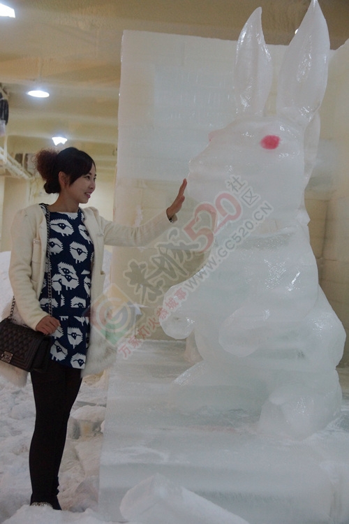 看花、看雪、看美女541 / 作者:gongcheng0778 / 帖子ID:121223