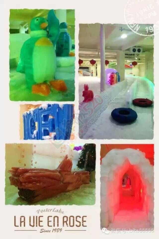 看花、看雪、看美女124 / 作者:gongcheng0778 / 帖子ID:121223