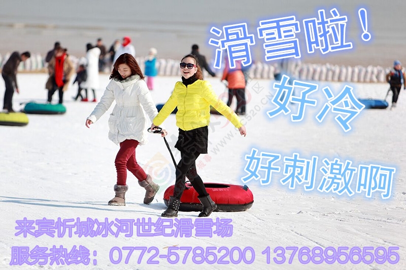 看花、看雪、看美女998 / 作者:gongcheng0778 / 帖子ID:121223