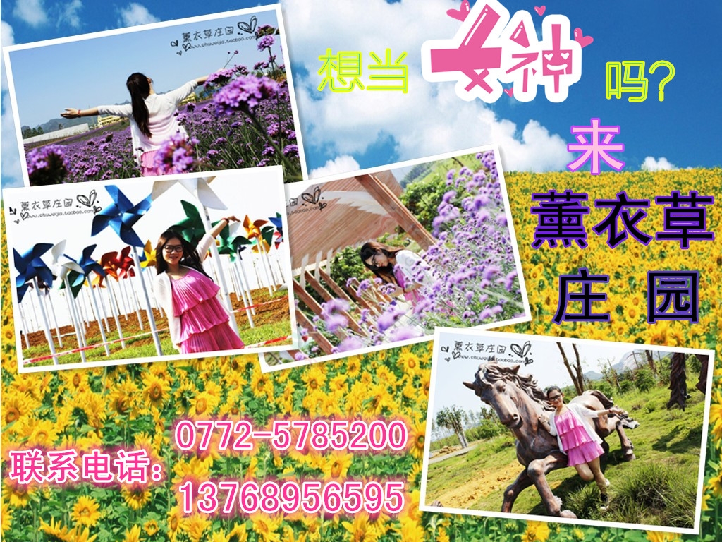 看花、看雪、看美女334 / 作者:gongcheng0778 / 帖子ID:121223