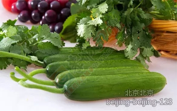 放冰箱坏得更快的14种食物！439 / 作者:欧耶 / 帖子ID:127438