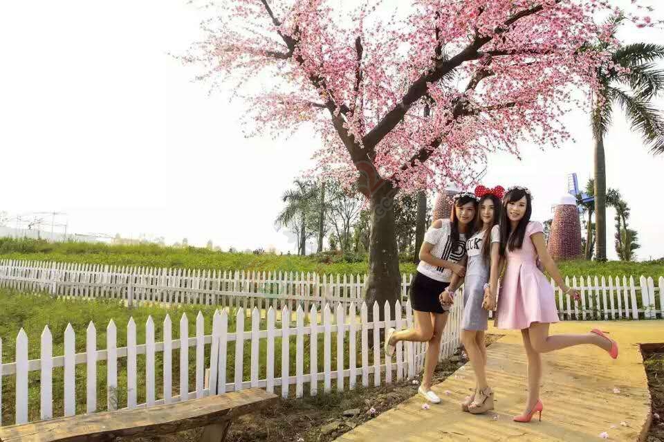 带你浪漫带你飞！遍地都是金黄色，美美哒~~451 / 作者:gongcheng0778 / 帖子ID:127590