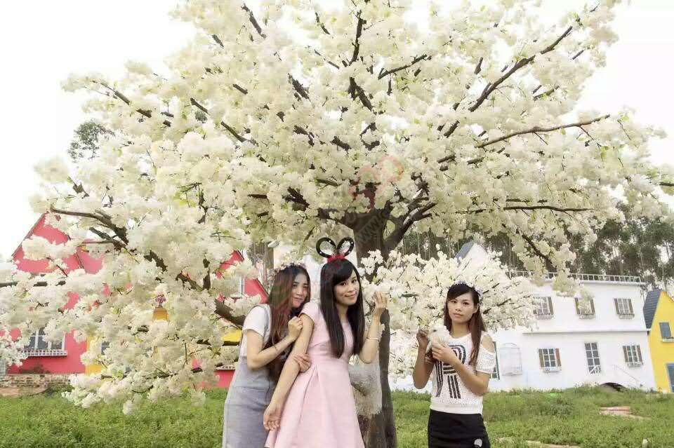 带你浪漫带你飞！遍地都是金黄色，美美哒~~895 / 作者:gongcheng0778 / 帖子ID:127590