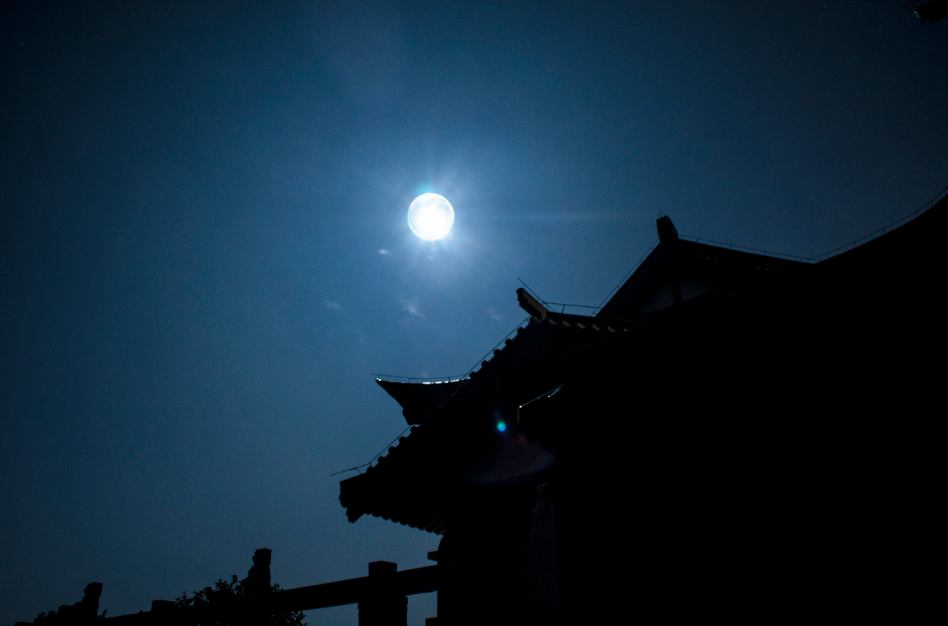 月110 / 作者:风流D霸道 / 帖子ID:127787