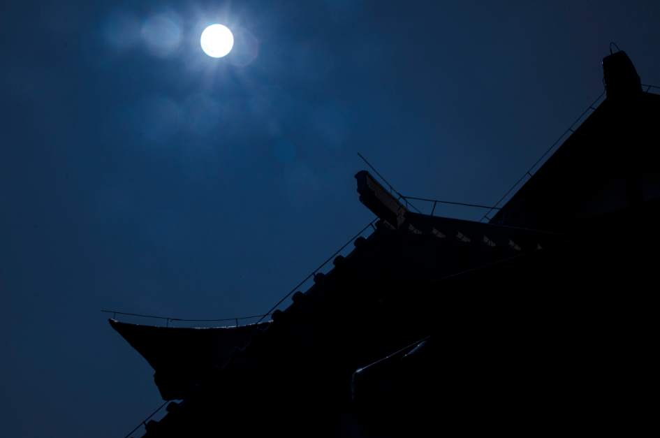 月149 / 作者:风流D霸道 / 帖子ID:127787