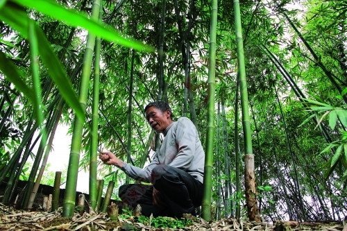探访平乐张家镇老埠村“雨帽村”的百年工艺751 / 作者:奇葩处处有 / 帖子ID:128025